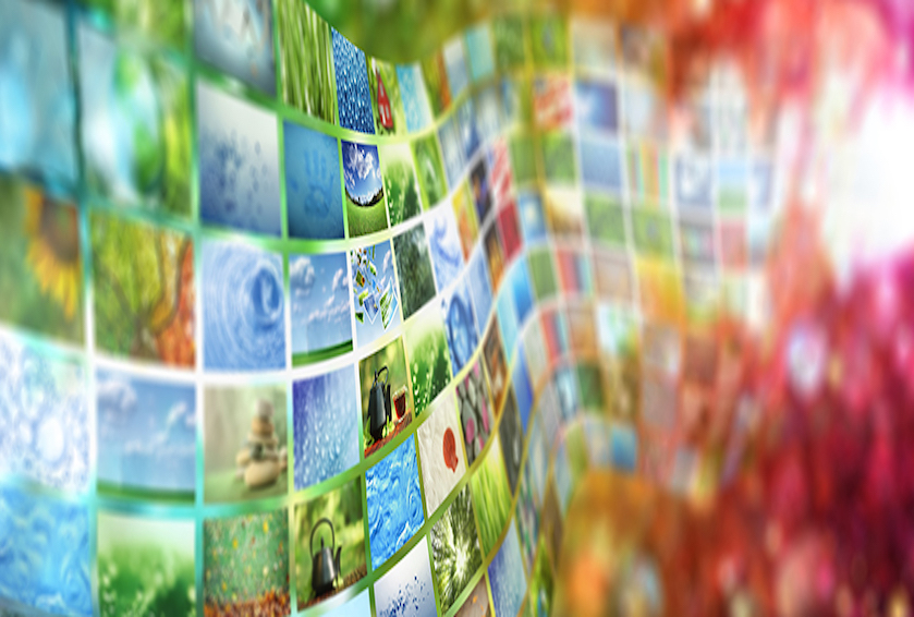 メディア情報｜OMD International Group