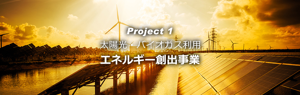 PJ1:太陽光発電事業|OMD International Group PJ1:太陽光発電事業|OMD International Group